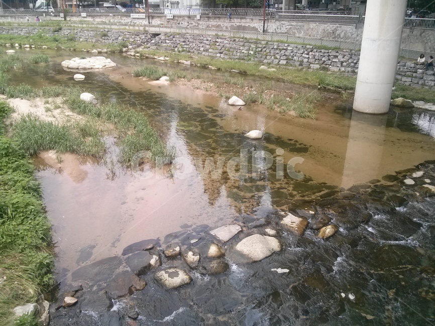 개천,홍제천,물,다리,풀,징검다리,기둥,brook,hongjebrook,water,bridge,grass,steppingstone,pillar