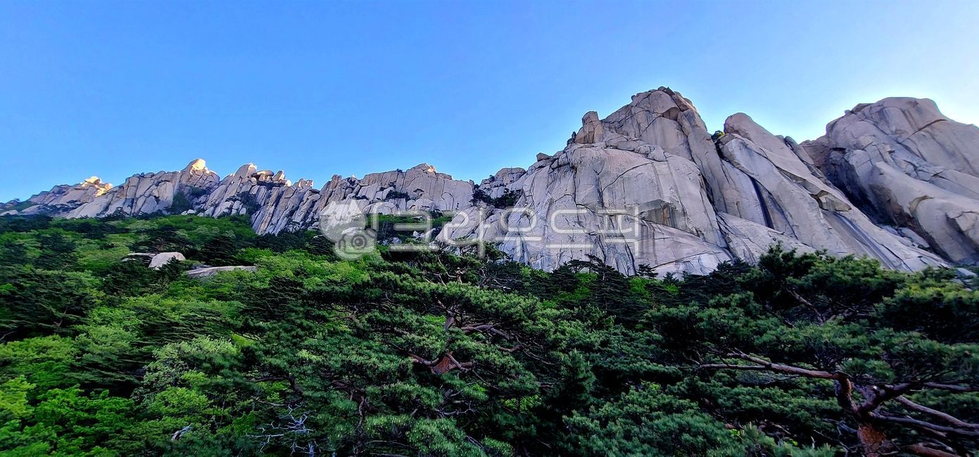 설악산,울산바위,봄,산풍경,산,산맥,소나무,자연,nature