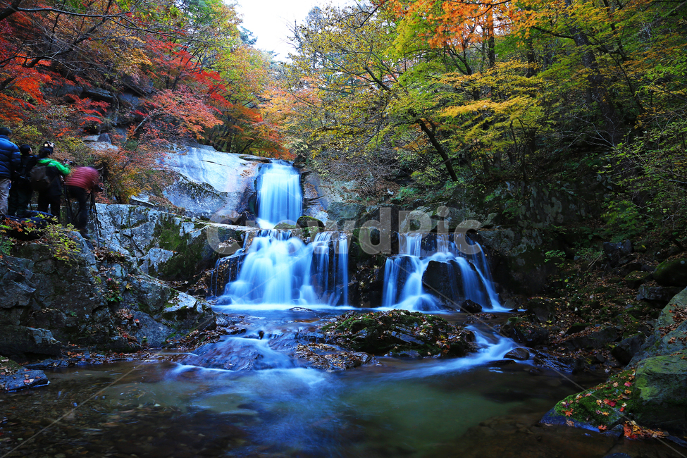 water,물,nature,outdoors,옥외,waterfall,폭포,tree,나무,plant,식물,leaf,잎,stream,흐름,물흐름,강원도,인제,방태산,방태산폭포,방태산가을,단풍,단풍잎,가을,추색,만추,낙엽,계곡,경치,경관,풍경,인제가을,한국자연풍경,한국자연경관,korea nature landscape