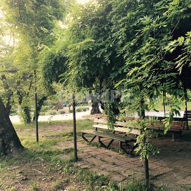 벤치,숲,공원,휴식,쉼,쉼터,rest,봄,여름,자연,풍경,nature,landscape,휴식,힐링,rest,relaxation,healing,outdoors,옥외,garden,정원,arbour,정자