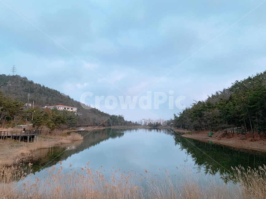공원,산책,산,자연,물