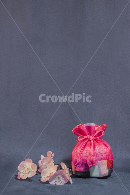 PlanningPhotos,luck,Cherry Blossom,bag,cherryblossoms,inside,branch,theocracy,Concept photo,Shopping,tradition,event,January,shopping,new year,Korea,Lunar New Year,Special photo,luckybag,ribbon,ConceptPhotos,flower,lucky bag,Pop,popup,january,background,T