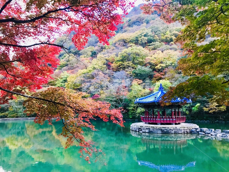 전북,내장산,정읍,우화정,붉게물든,단풍,비취색물,팔각정,연못