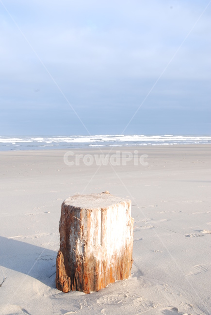 해변,돌,그림자,모래사장,고운모래,박무,밝은아침,상쾌한아침,ocean,beach,sand,shadow,shade,finesand,mist,goodmorning,그루터기,treestump,나무,토막,파도,하늘,푸른하늘,구름,cloud,sky,distant,해변,바다,beach,sea