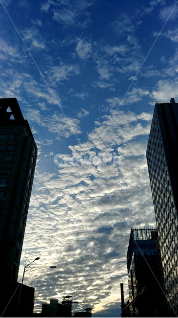 구름,하늘,빌딩,도시,저녁,도시,풍경,city,landscape