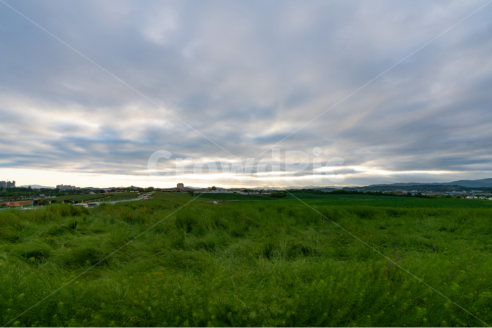 맑음,하늘,햇살,구름,풀,식물,나무,tree,plant,sunshine,sky,cloud,자연,풍경,nature,landscape,field,들,grassland,목초지,outdoors,옥외