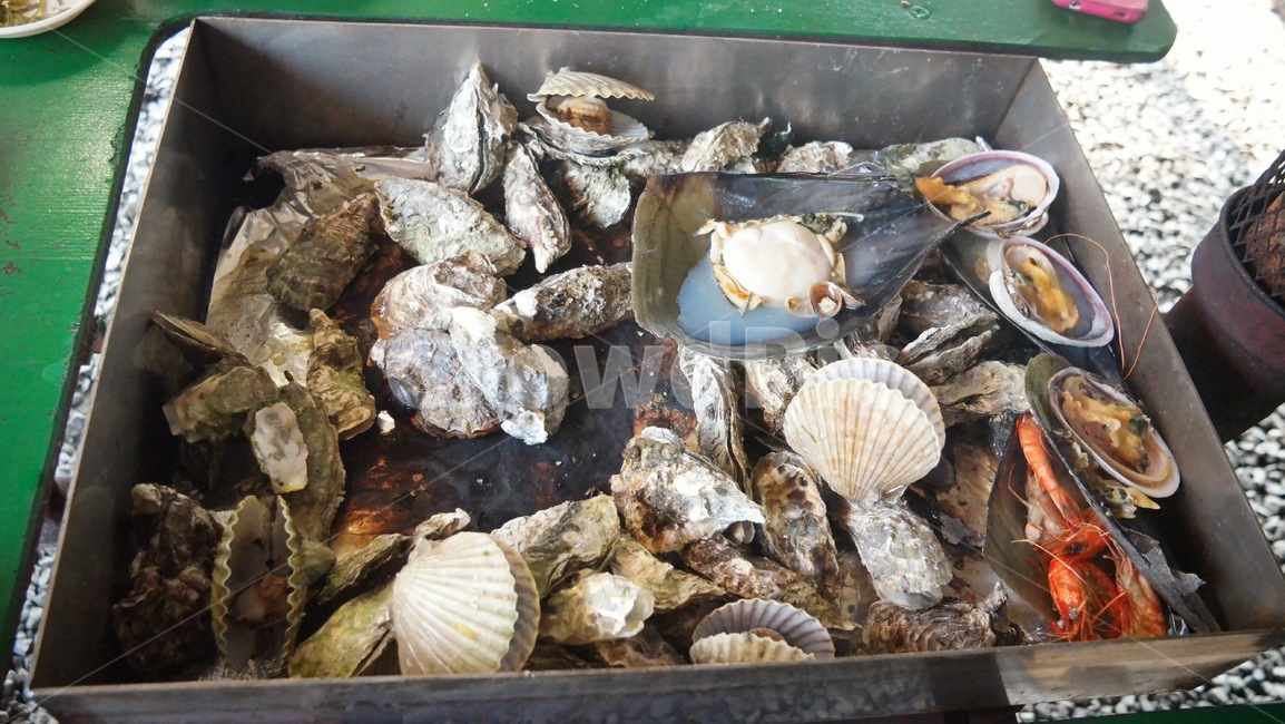 음식,해산물,굴,조개,석화,음식,식재료,요리,food,cook,meal,dishes,food reserves,수산물,해산물,fishery products,seafood