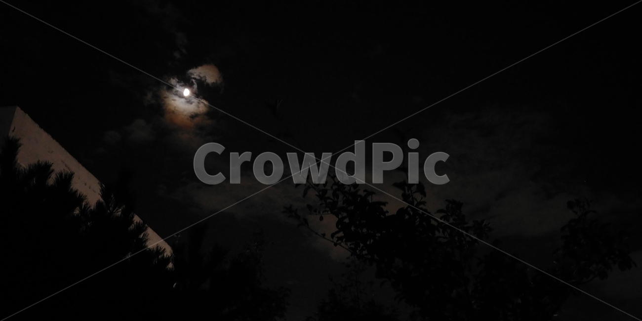 자연,풍경,하늘,밤하늘,달,nature,sky,moon,운치있는,분위기있는,자연,풍경,nature,landscape,야경,밤,nightscape,night,outdoors,옥외