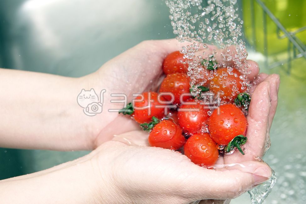 방울토마토,토마토,채소,야채,열매,손,hand,신체일부,씻다,세척,물기,물,수돗물,수도,결실,음식,식재료,붉은색,다홍색,요리,신선한,건강한,tomato,food,cook,meal,dishes,식물,plant,빨간,싱싱한,wash,washing,water,person,사람,human,인간,음식,식재료,요리,food,cook,meal,dishes,food reserves,채소,야채,vegetables