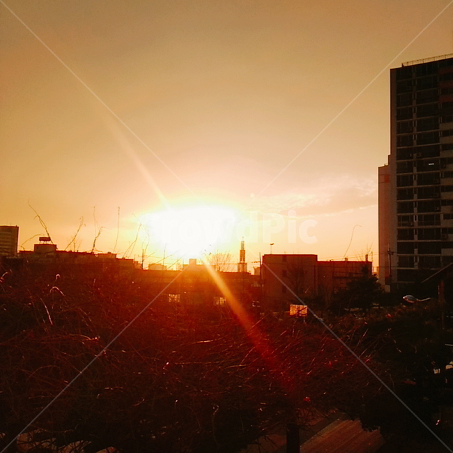 저녁,하교,노을,하늘,해질녘,도시,풍경,city,landscape