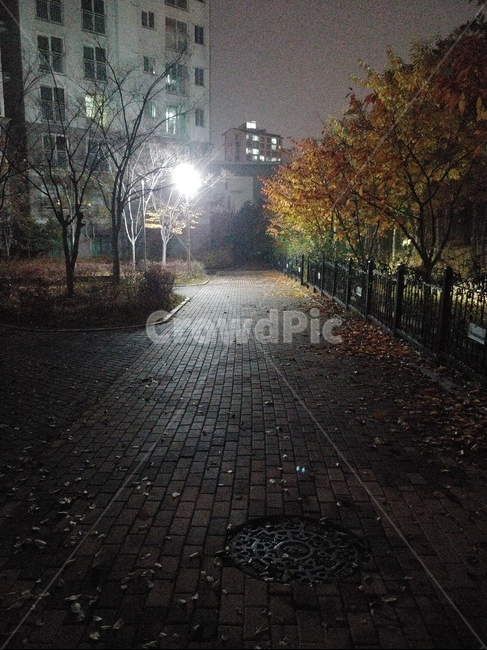 tarmac,아스팔트,밤풍경,거리,밤거리
