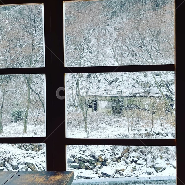 창,눈,겨울,snow,winter,풍경,겨울,계절,winter,season