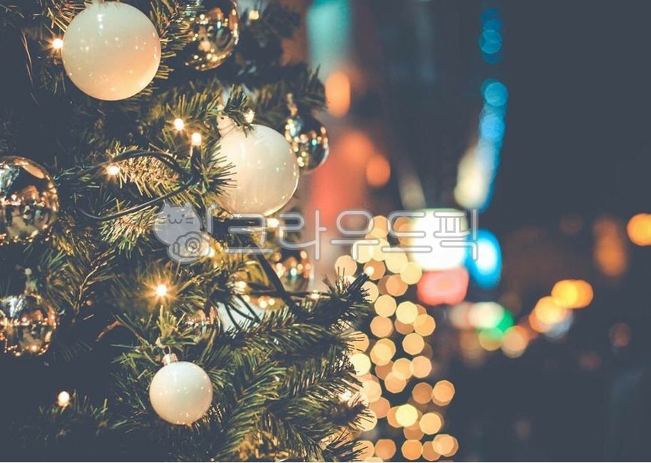 night view,christmas tree,winter,feeling,film,christmastree,winter sensibility,christmas,Emotional photo,christmasdecorations,film photography,interior design,light,Christmas decorations,interiordesign,Emotion,sensible