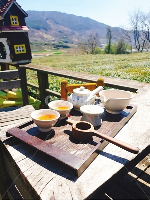 하동다원,다원,녹차밭,다도,차마시기,차우리기,녹차,홍차,음료수,drink,beverage