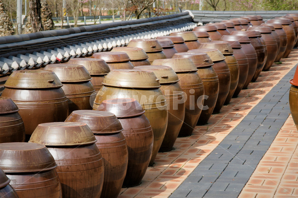 항아리,장독,전통,옹기,풍경,한국전통,한국문화,korean traditional,korean culture,사물,물건,오브젝트,thing,object,matter