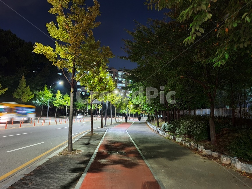 야경,아스팔트,path,도로,road,야경,밤,풍경,nightscape,night,landscape,도시,city