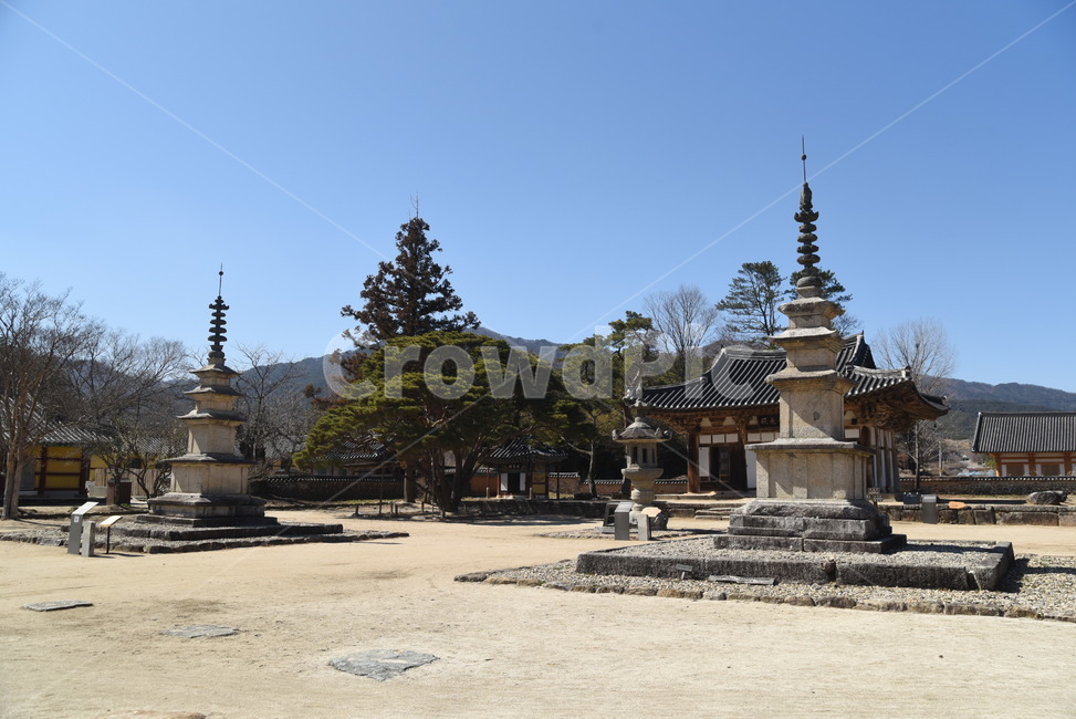 실상사,삼층석탑,석등,문화재,보물,기념물,사찰,절,건축물,temple,architecture,bulding