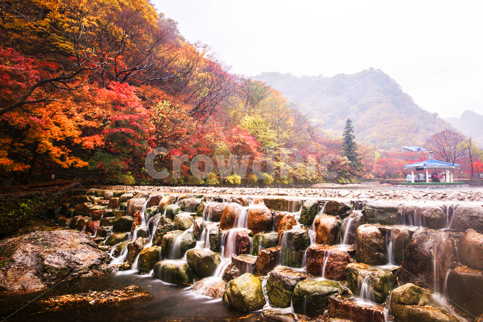 water,물,river,nature,자연,강,outdoors,옥외,tree,나무,plant,식물,내장산,산,mountain,단풍,maple,가을,계절,fall,autumn,season,자연,풍경,nature,landscape