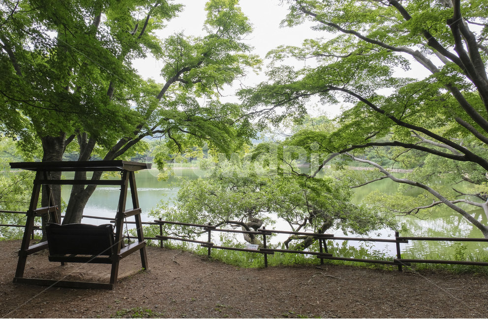 공원,의자,나무,호수,생태공원,풍경,공원산책,휴식,힐링,park,chair,tree,lake,landscape,rest,healing