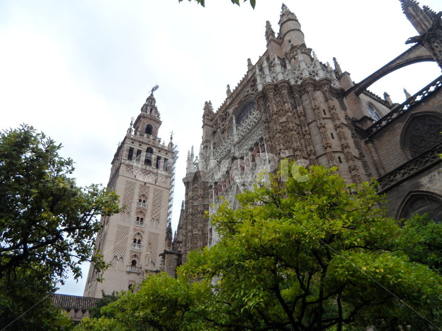 스페인,세비야,유럽,대성당,히랄다탑,spain,sevilla,europe,cathedral,뾰족한탑,steeple,탑,tower,건축물,architecture