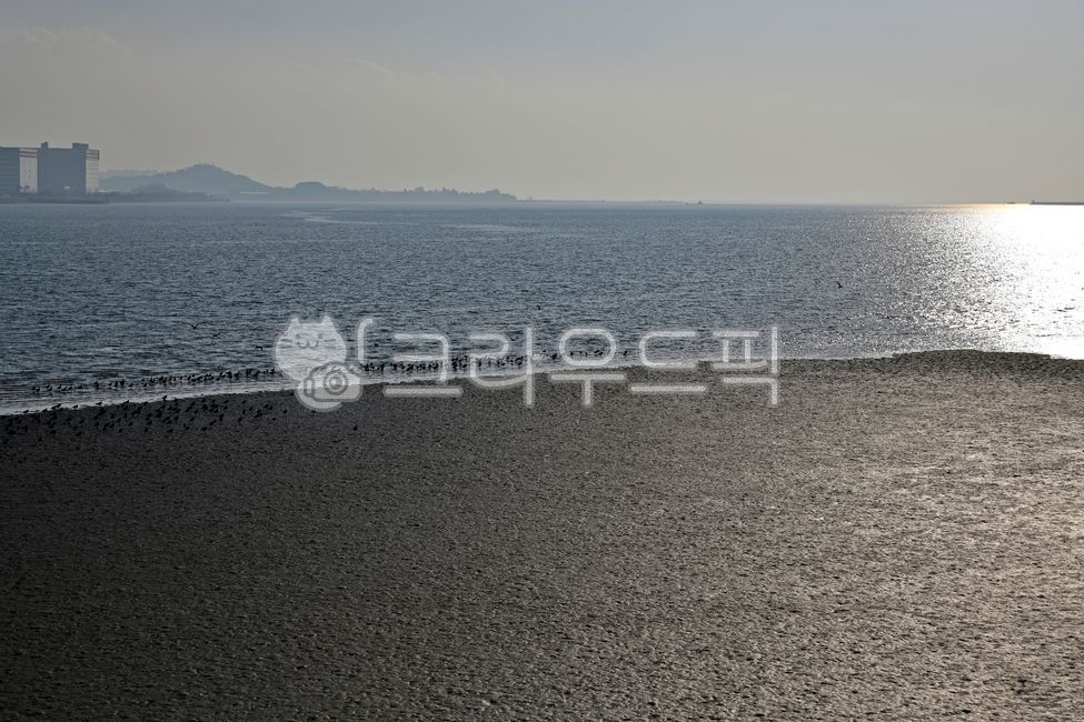Songdo Tidal Flat,tidal valley,ocean,Ramsar registered wetland,mud