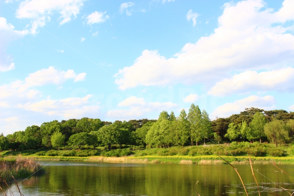 올림픽공원,가을,하늘,자연,풍경,공원,구름,연못,자연,풍경,nature,landscape,water,물,outdoors,옥외,lake,호수