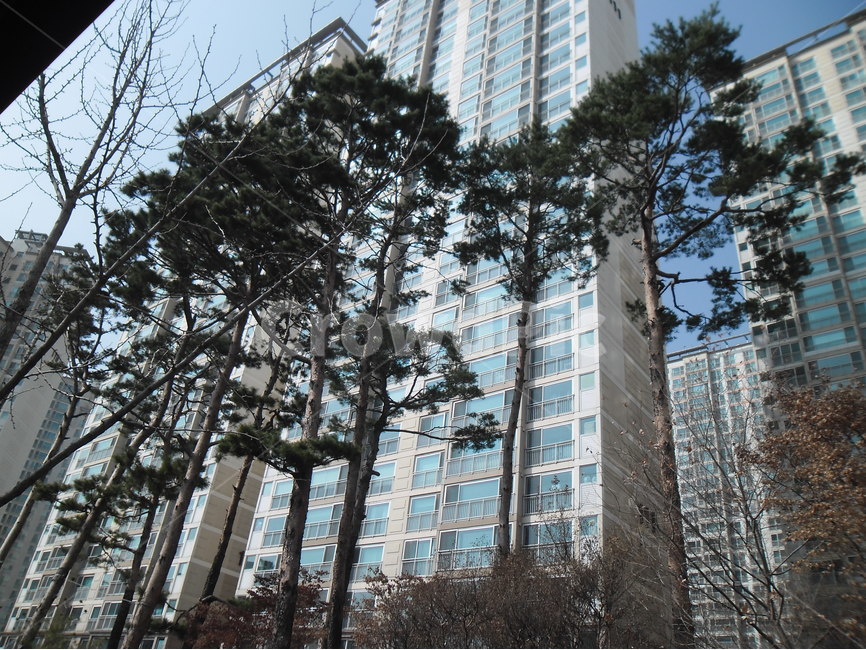 도시,아파트,가로수,나무,건축,도시,풍경,city,landscape,한국도시풍경,한국도시경관,korea cityscape,식물,자연,plants,nature,나무,trees,wood,건축물,건물외관,exterior,building,structure,architecture,construction,건물,high rise,고층 건물,시티,town,urban,어반,office building,사무실 건물,condo,콘도,housing,주택