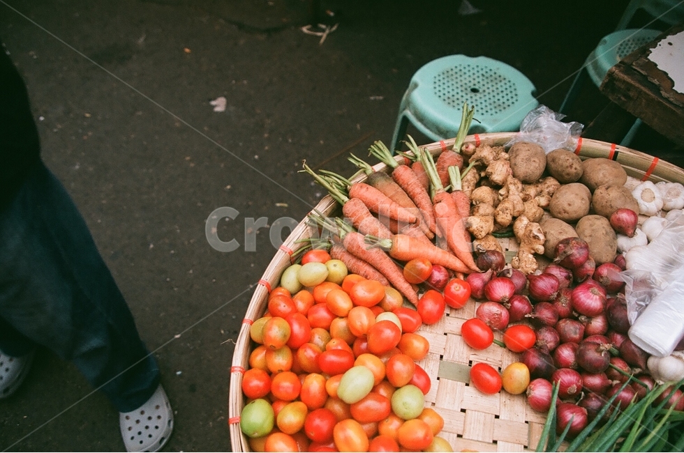 야채,당근,토마토,파,감자,노상,필리핀,시장,plant,식물,human,인간,person,사람