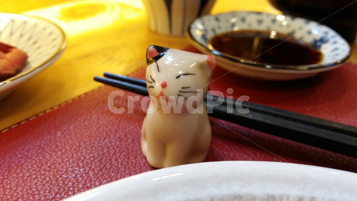 고양이,받침,젓가락,일식,초밥,생선,식사