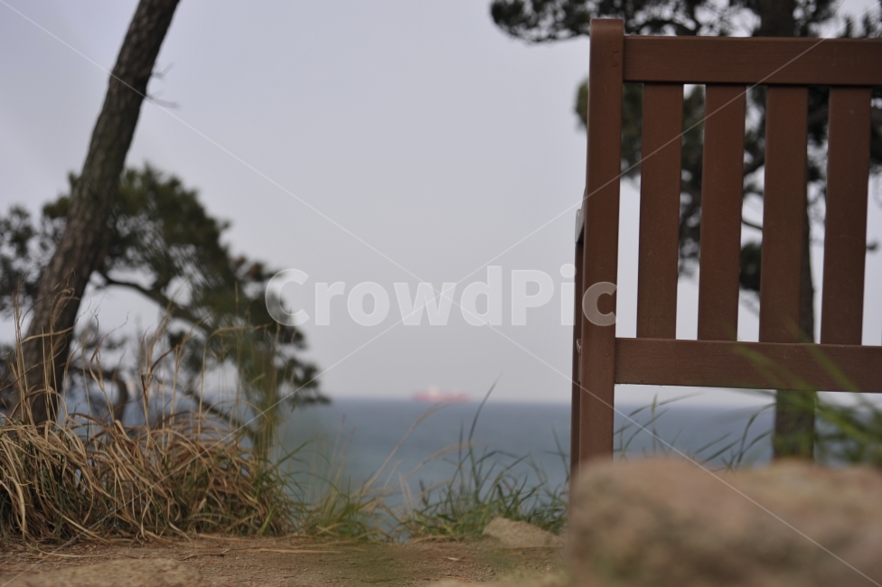 의자,홀로,바라봄,고독,쓸쓸,자연,풍경,nature,landscape,chair