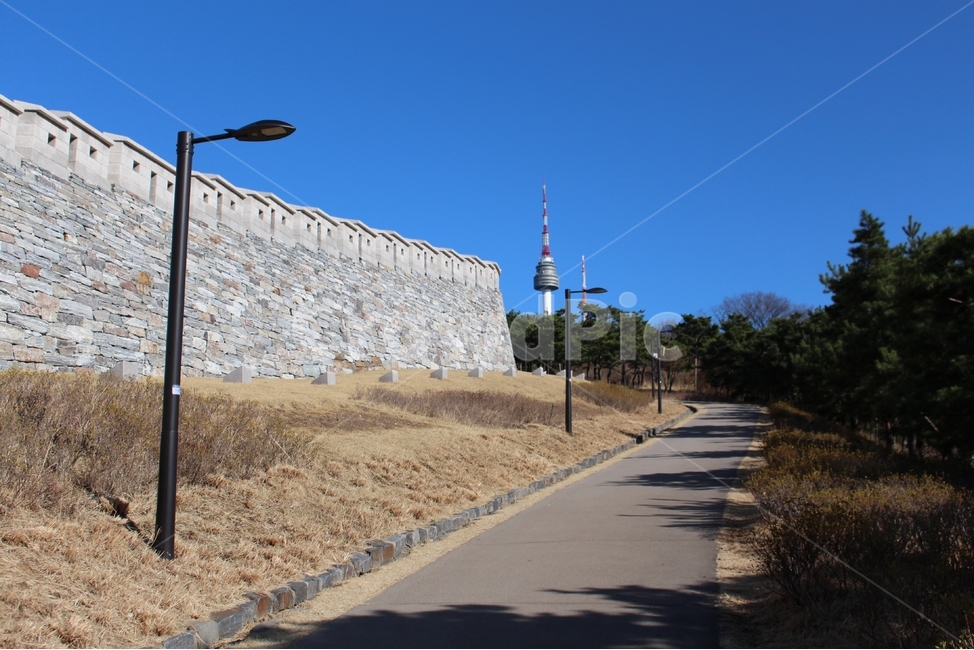 봄,남산,남산둘레길,N서울타워,남산공원길,랜드마크,landmark,tourist attraction,한국랜드마크,한국관광지,한국명소,korea landmark,korea tourist attraction