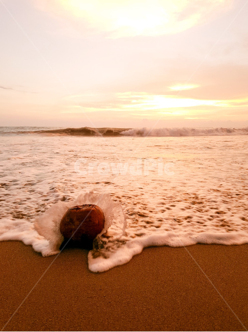 해변,열매,바다,풍경,하늘,beach,sea,landscape,sky,인도네시아,indonesia,자연,풍경,nature,landscape,해변,바다,beach,sea
