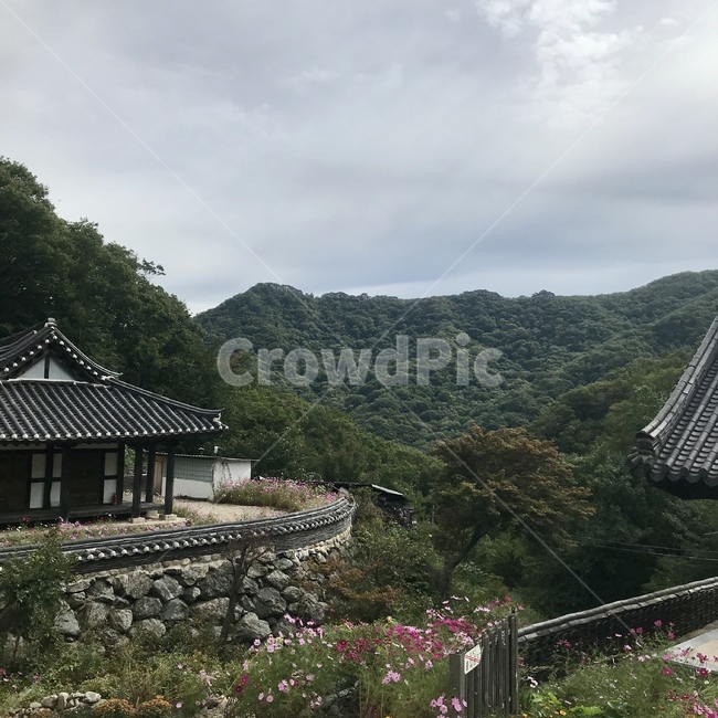 무주덕유산,덕유산,백련사,절,temple,nature,자연