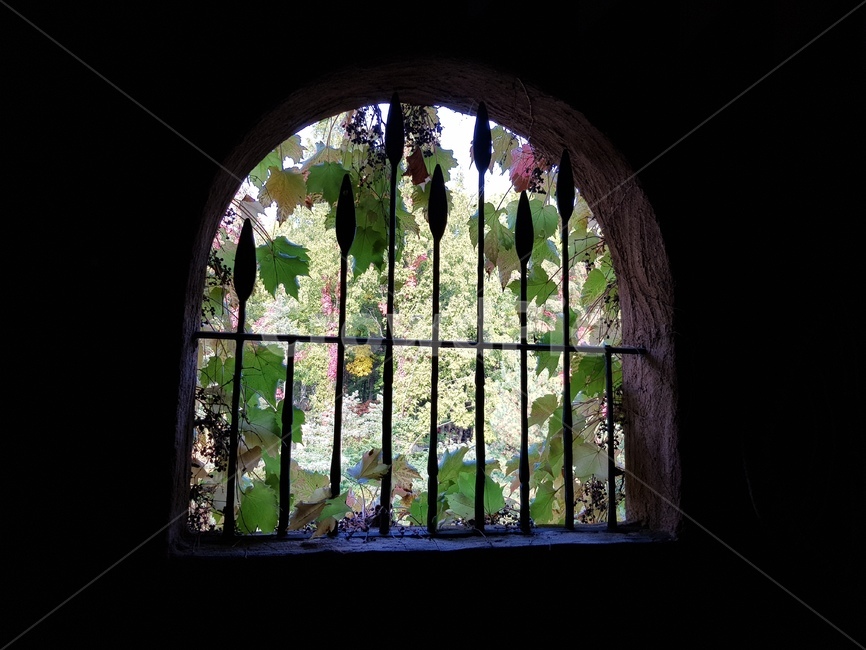 창살창문,창문,중세시대느낌,window,barsinthewindow