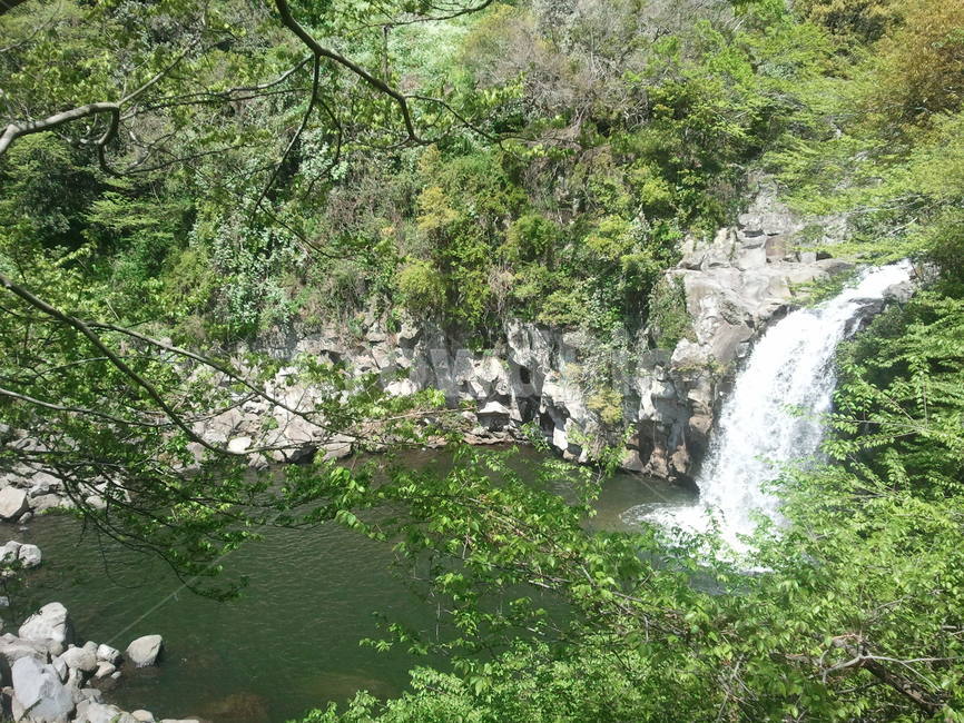 제주도,바다,풍경,계곡,폭포,자연,풍경,nature,landscape,water,물,outdoors,옥외,river,강
