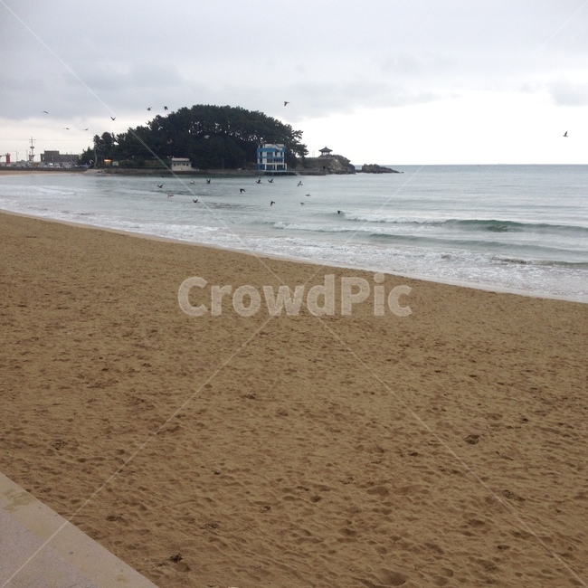 부산,바다,갈매기,해변,죽섬