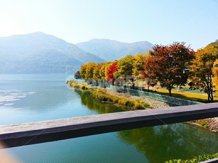 풍경,view,가을,나무,강,산,fall,tree,river
