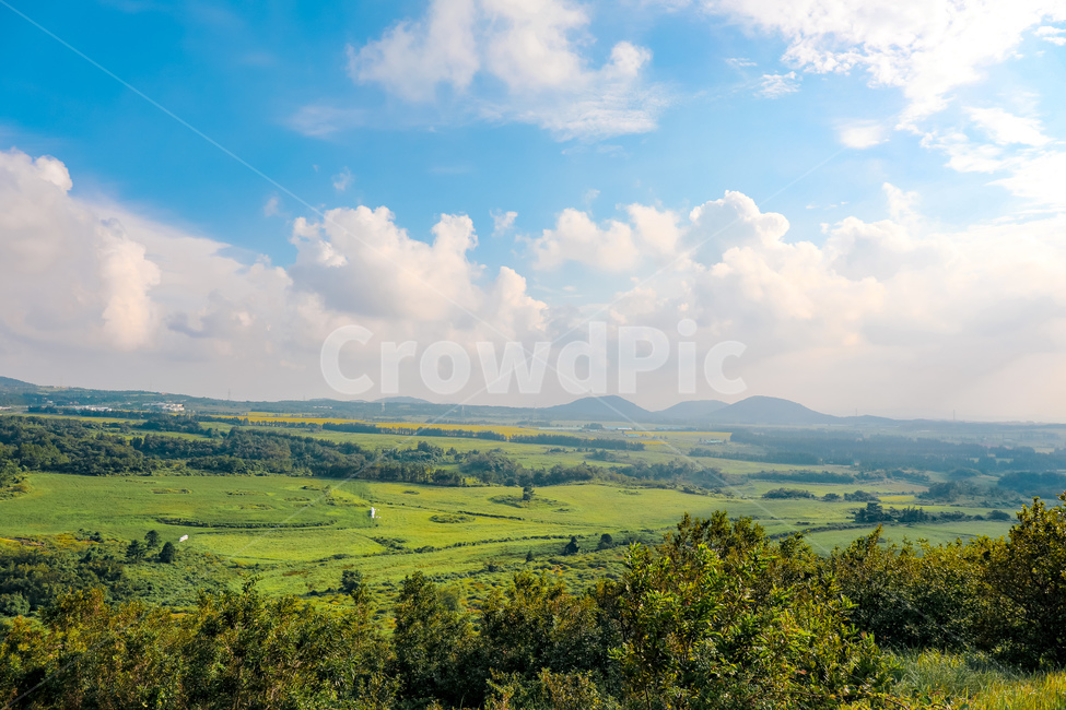 자연,하늘,구름,나무,제주,nature,sky,landscape,tree,cloud,jeju