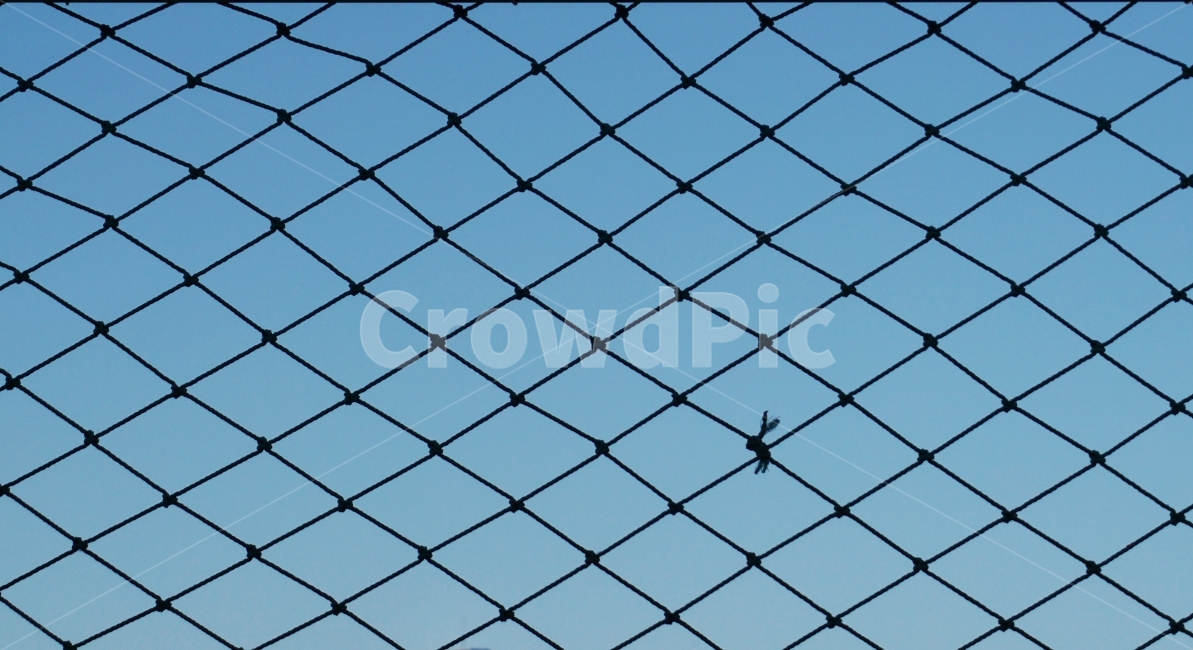 도시풍경,사물,그물,토끼,하늘,감성사진,패턴,pattern,rabbit,sky,net,무늬,숨은그림,텍스처,질감,패턴,texture,pattern
