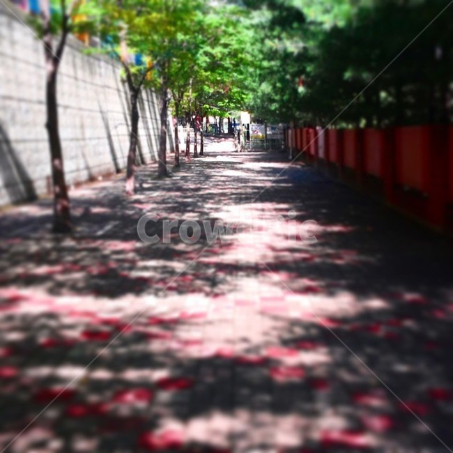 sidewalk block,sunlight,colonnade,tree shade,On foot
