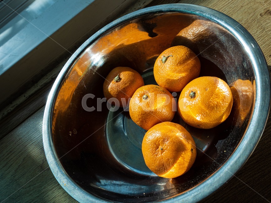 citrusfruit,감귤류과일,food,식품,귤,과일,맛있는,신,감귤,제주,귀여움,햇빛,스테인리스,바구니,오렌지