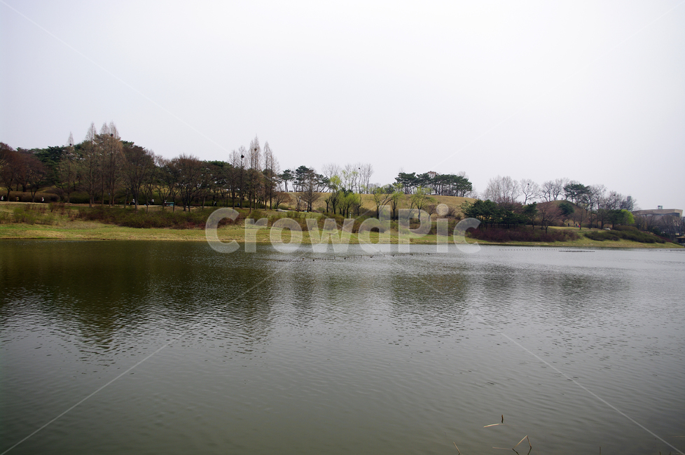 나무,공원,식물,plant,봄,spring,계절,호수,자연,풍경,nature,landscape,water,물,outdoors,옥외
