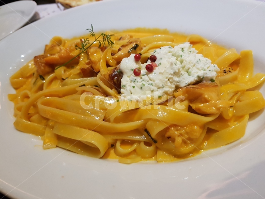 파스타,음식,pasta,food,치즈,음식,식재료,요리,food,cook,meal,dishes,food reserves,면류,면요리,noodles,양식,서양음식,서양요리,western food,western dishes,western meal,western cook