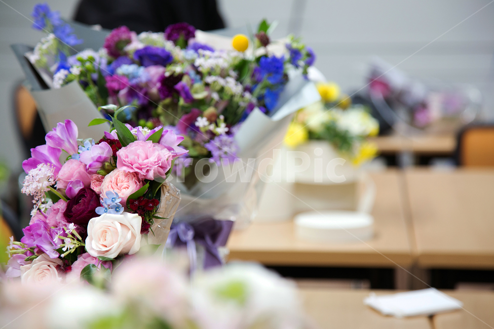 생화,장미,리시안사스,보라색,핑크색,꽃배경소스,식물,자연,plants,nature,꽃,flower