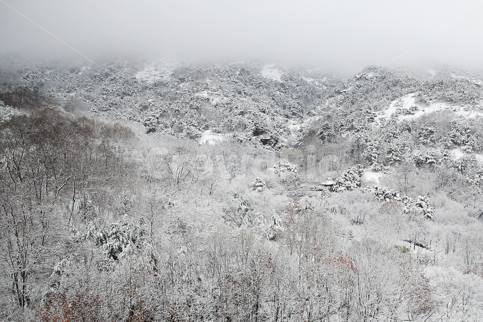 눈,겨울,설산,강,추위,산,눈내린,한겨울,강추위,겨울풍경,설경,nature,자연,outdoors,옥외