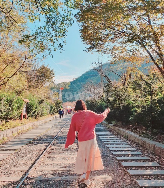 기찻길,철도,사람,person,traintrack,교통,transportation,railway,가을
