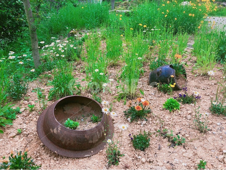 가마솥,항아리,오래된,화분,꽃,시골