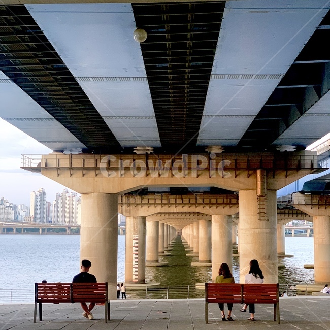 한강,마포대교,뒷모습,벤치,사람,person,human