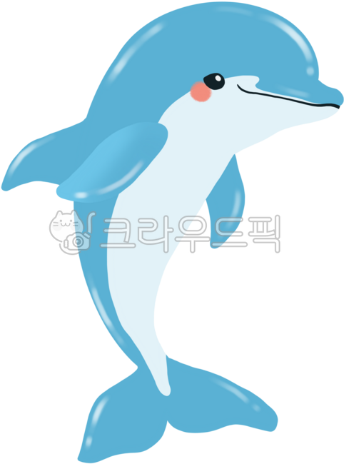 Dolphin,whale,dolphin drawing,dolphin character,sea,sea animal,cute dolphin