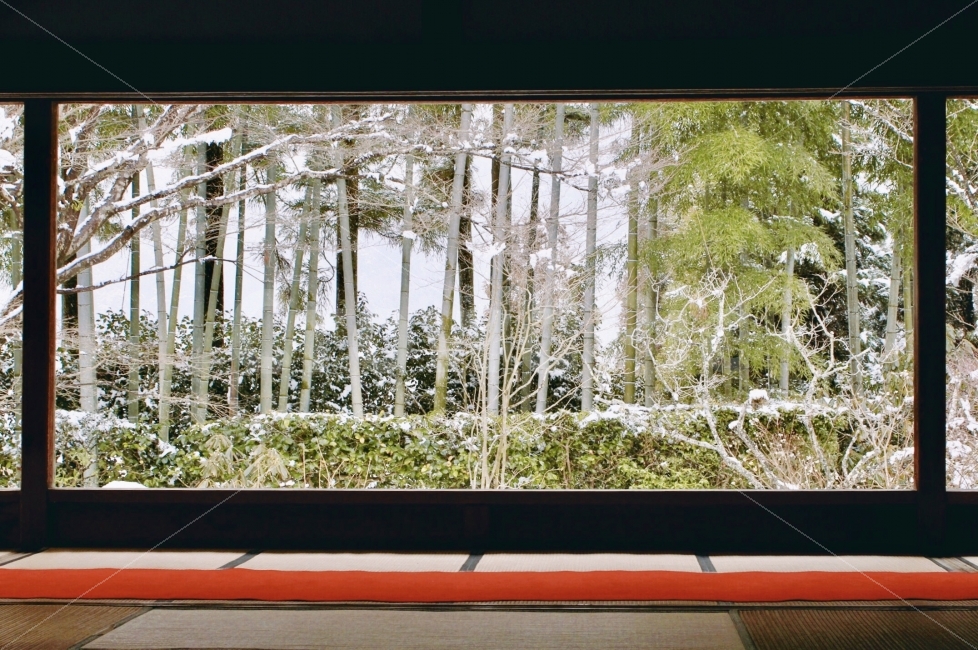 풍경,landscape,캐논700d,canon700d,교토,kyoto,japan,일본,겨울,winter,눈,snow,자연,nature,오하라,ohara,사진,photo,나무,tree,자연,풍경,nature,landscape,겨울,계절,winter,season
